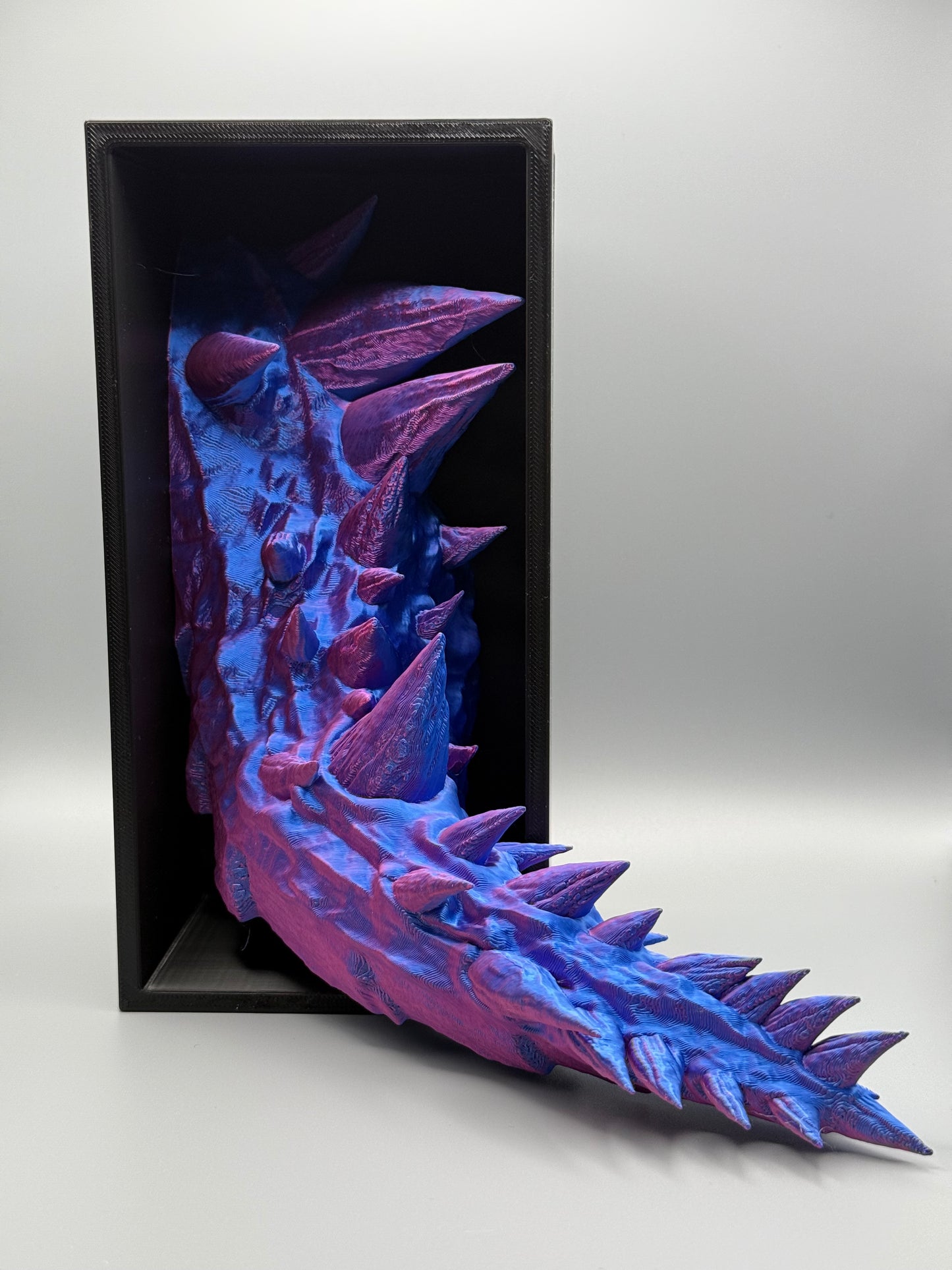 Dragon Tail Book Nook
