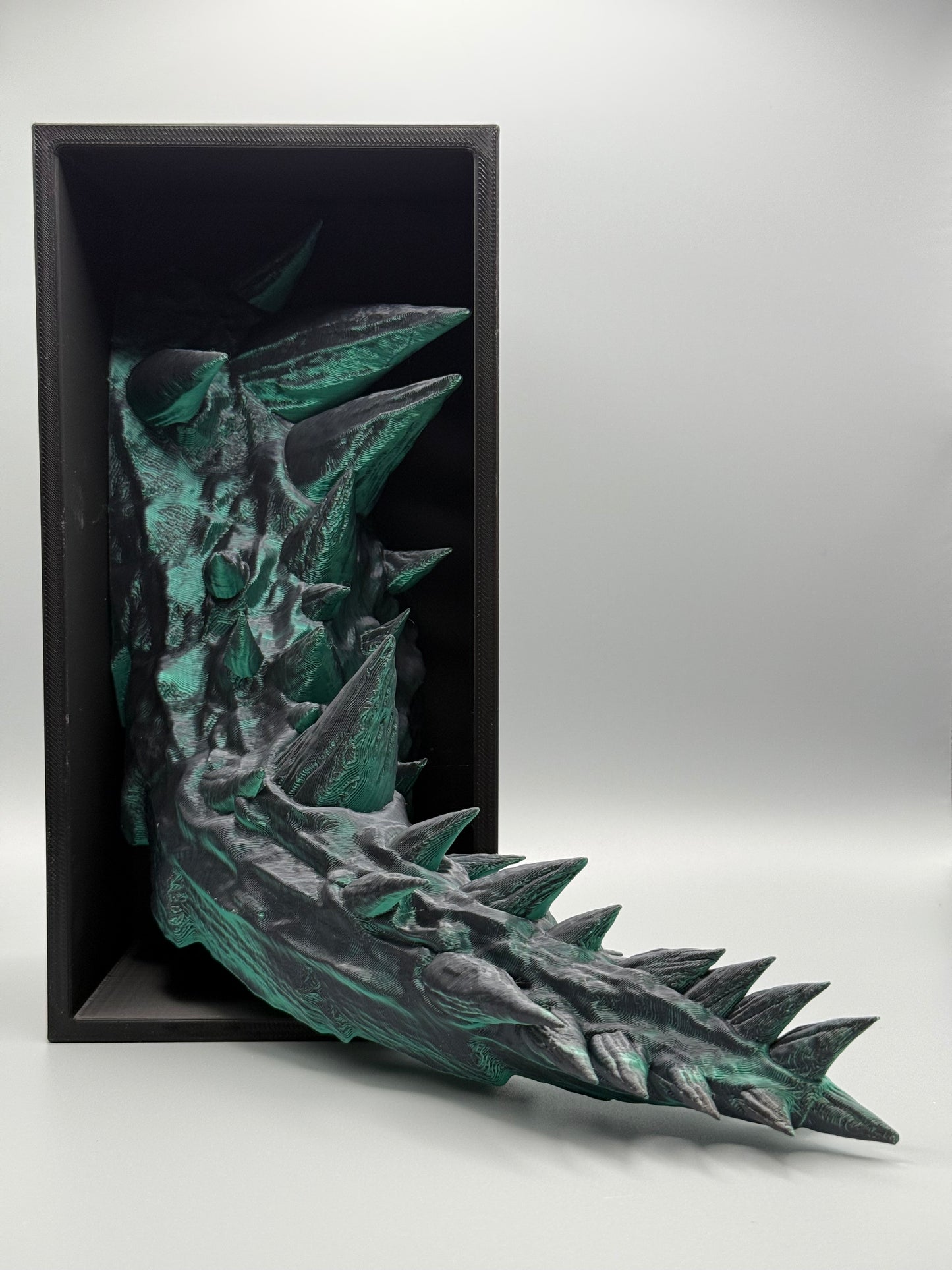 Dragon Tail Book Nook
