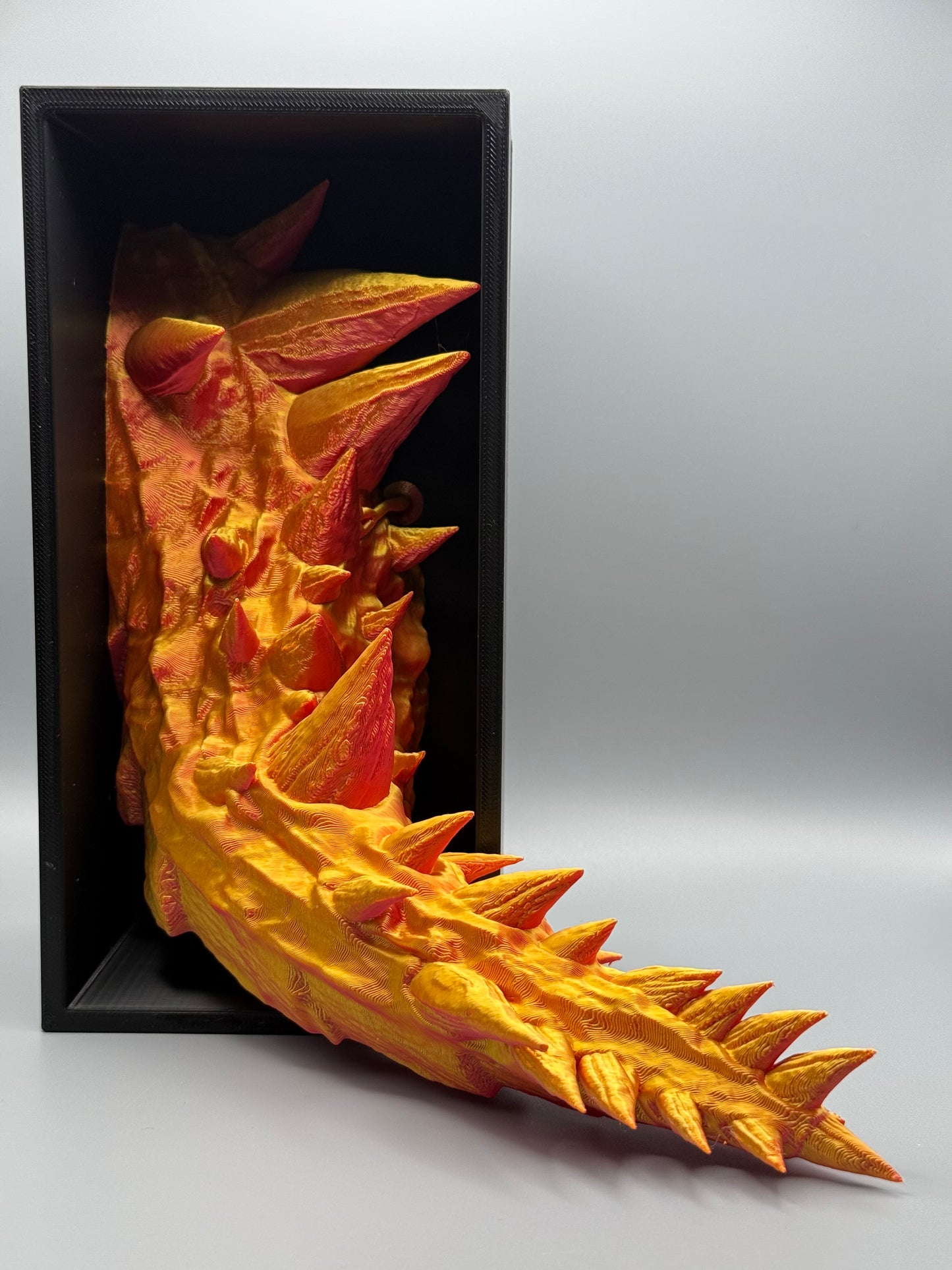 Dragon Tail Book Nook