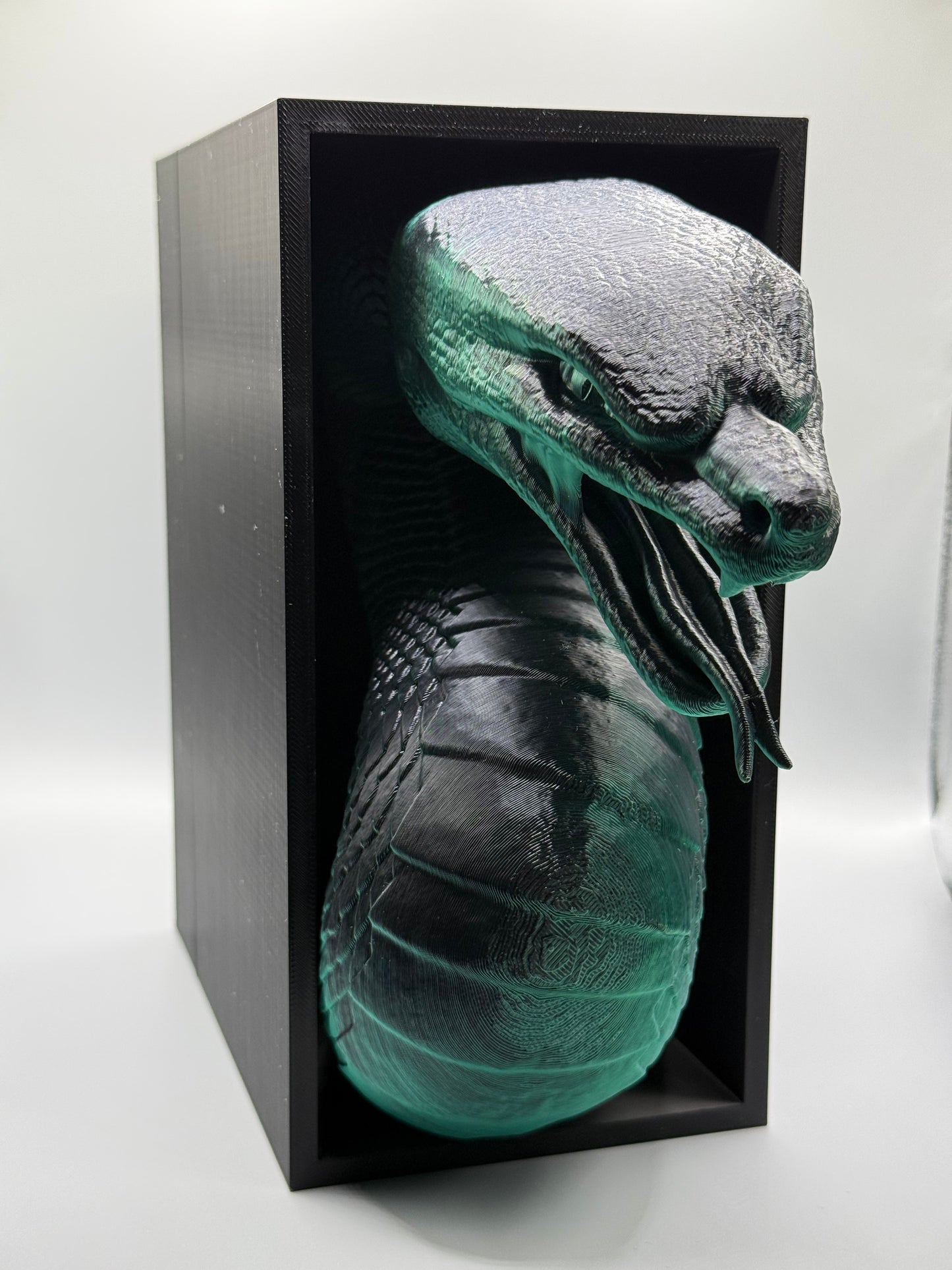 Snake Book Nook
